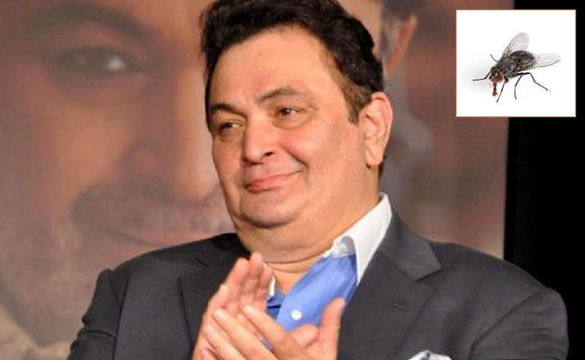 Rishi Kapoor vs a Fly: Who Won? Twitter is Still ROFL