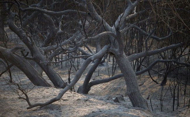 Residents Begin Returning Home After Los Angeles Wildfire