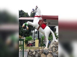 3 Months After His Death, Uttarakhand Builds A Memorial To Shaktiman 3 Months After His Death, Uttarakhand Builds A Memorial To Shaktiman
