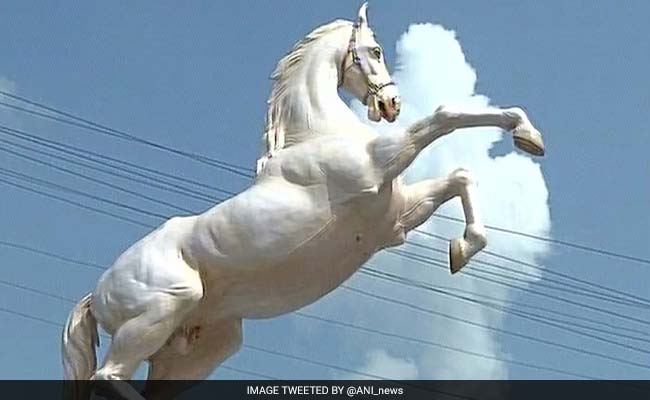 Shaktiman, Horse Buried With Full Police Honours, Gets And Loses Statue