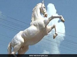 Shaktiman, Horse Buried With Full Police Honours, Gets And Loses Statue Shaktiman, Horse Buried With Full Police Honours, Gets And Loses Statue
