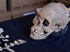 Skeleton With Stone-Encrusted Teeth Found In Mexico Ancient Ruins