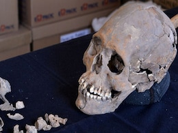 Skeleton With Stone-Encrusted Teeth Found In Mexico Ancient Ruins Skeleton With Stone-Encrusted Teeth Found In Mexico Ancient Ruins
