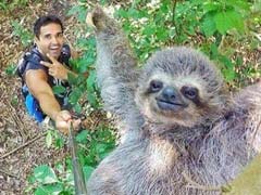 Incredible Selfie Captures Smiling Sloth Hanging Off a Tree, Goes Viral