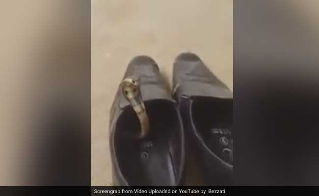 Thanks Monsoon. Our Shoes Are Homes For Snakes Now