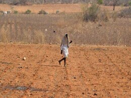 Government To Launch Emergency Plan To Help Farmers And Villages Government To Launch Emergency Plan To Help Farmers And Villages