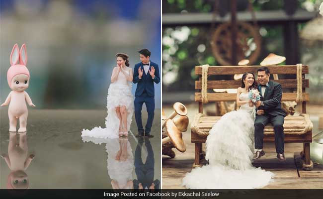 Honey, I Shrunk the Bride and Groom. Tiny People, Big World in These Pics