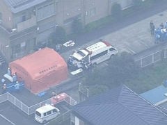 Man Arrested Over Deadly Japan Stabbing Spree