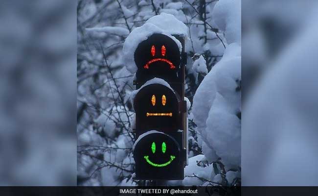 Turning Off Red Light Cameras Can Be Deadly