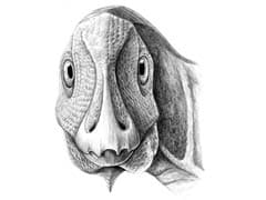 This Little Duck-Billed Dinosaur Had A Facial Tumor That Still Affects Humans Today