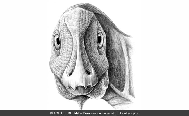 This Little Duck-Billed Dinosaur Had A Facial Tumor That Still Affects Humans Today