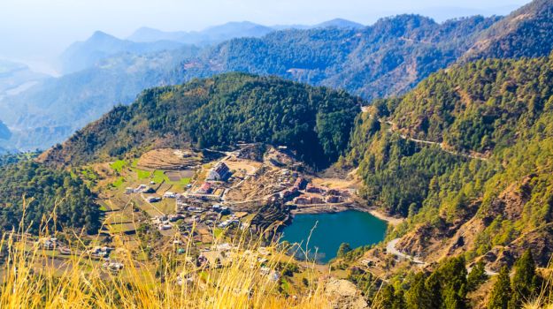 Uttarakhand On a Hunt For 'Life-Saving' Mythical Plant - Hanuman's Sanjeevani Booti