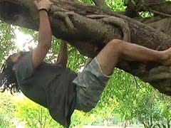 Meet The Environmentalist Who Is Teaching Delhi How To Climb Trees