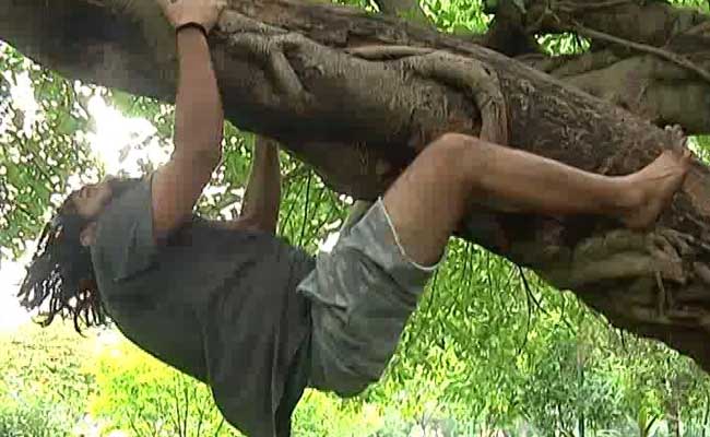 Meet The Environmentalist Who Is Teaching Delhi How To Climb Trees