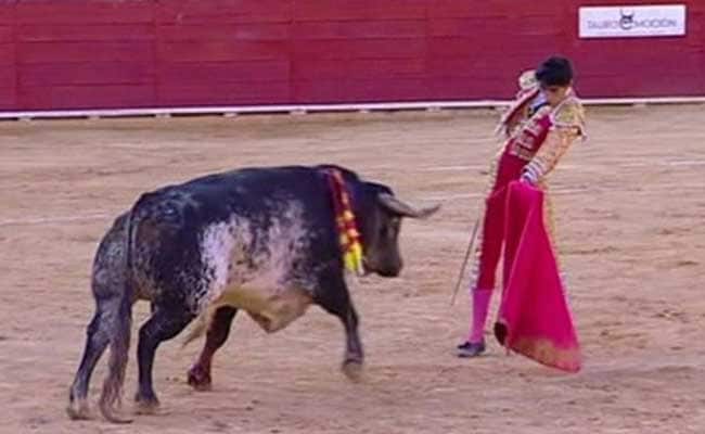 Spanish Bullfighter Dies After Being Gored