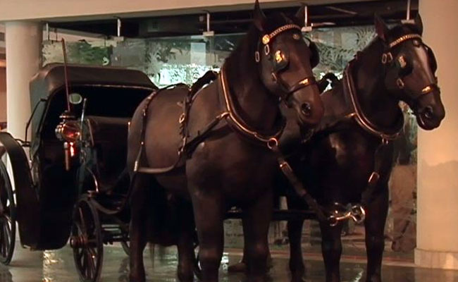 Walk With Mahatma Gandhi, Travel 85 Years In A Minute At Rashtrapati Bhavan Museum