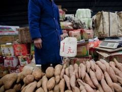 The Hip, Orange Super Food Displacing French Fries The Hip, Orange Super Food Displacing French Fries