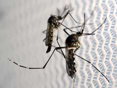 Warmer Climate Threatens Malaria Spread In Ethiopia: Study