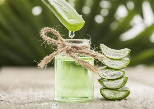 How To Make Aloe Vera Juice From Aloe Vera Plant - Step-By-Step Recipe Video  - NDTV Food
