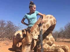 'Despicable': 12-Year-Old Girl Targeted After Posing With Zebra, Giraffe She Hunted And Killed