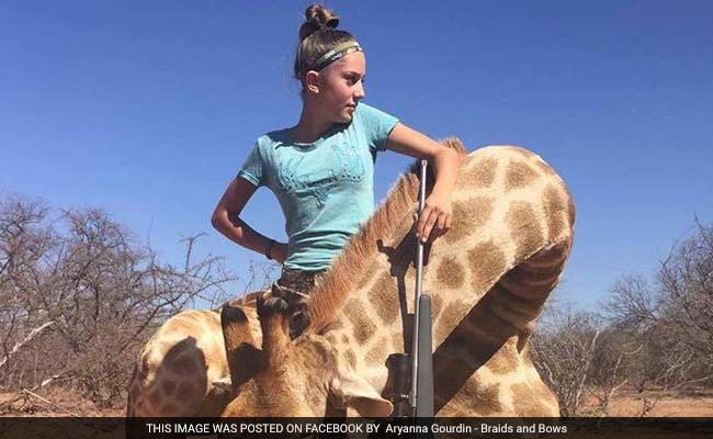 'Despicable': 12-Year-Old Girl Targeted After Posing With Zebra, Giraffe She Hunted And Killed