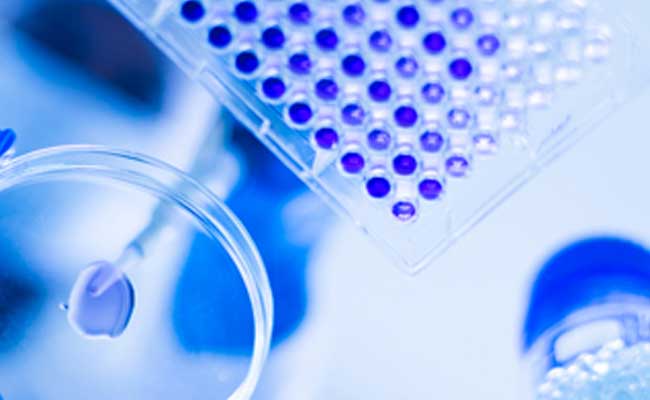 Biocon Stock Jumps As US FDA Issues EIR