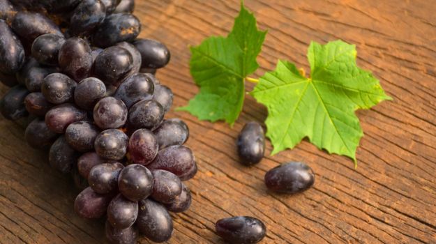 Black Foods Benefits: डाइट में शामिल करें ये काली चीजें, सेहत को मिलेंगे हैरान करने वाले फायदे