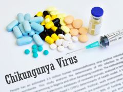 चिकनगुनिया का कोई नया वायरस इस बार पांव नहीं पसार रहा : रिपोर्ट