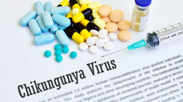Chikungunya Symptoms And All You Need To Know