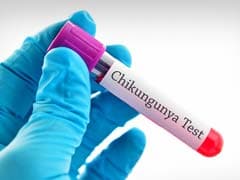 Confirmed Cases of Chikungunya Soar in Brazil
