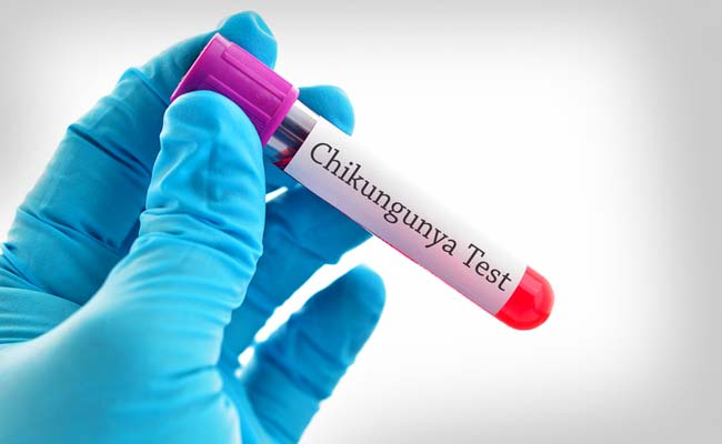 At Least 5,300 Down With Chikungunya, 43% Rise Over Last Week