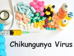 Chikungunya Cases On A Rise Since 2006