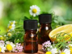 Kidney Stones May Be Prevented By Citrus Extract Kidney Stones May Be Prevented By Citrus Extract