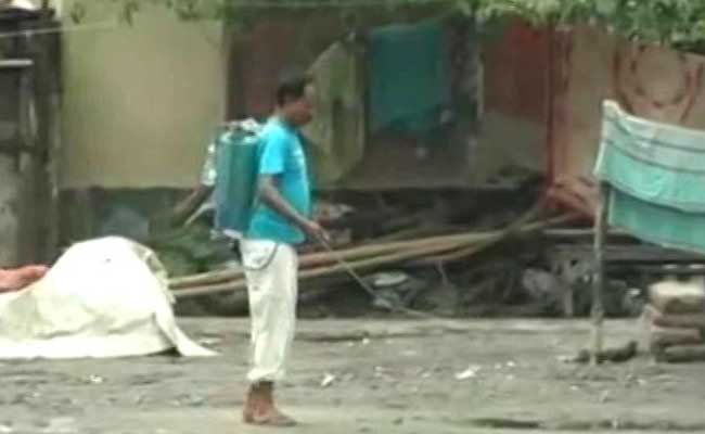 Dengue Claims 13 Lives In Kolkata, 112 New Cases In 48 Hours