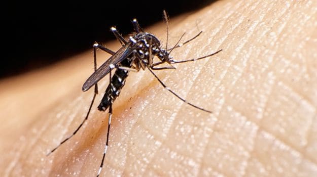 पश्चिम बंगाल में डेंगू से मरने वालों की संख्या बढ़कर 17 हुई
