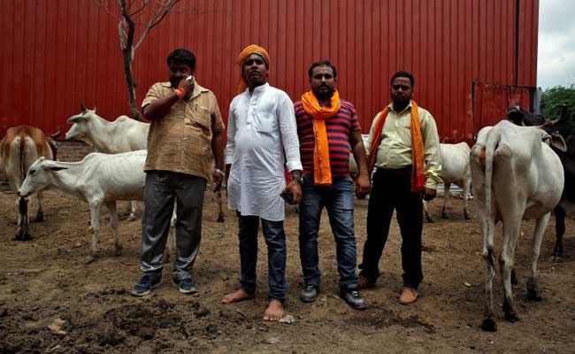 'Retaliation Is Important': Agra Cow Vigilantes Say They're Targets Too