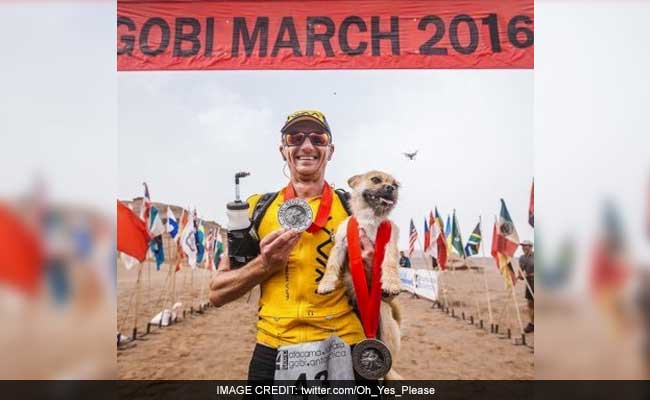 Stray Dog Wins Hearts - And New Home - After Following Man Through 155-Mile Ultramarathon