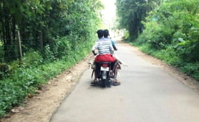 Pictures Of Dead Dogs In Kerala 'Proof' Of Culling Say Activists