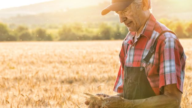 Farmers Who Donate Surplus Fruits & Vegetables Seek Tax Credit In New York