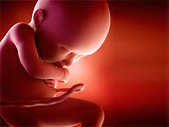 14 Foetuses Found In Jharkhand's Deoghar
