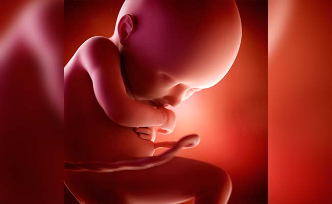 Six-Month-Old Foetus Found In Toilet In Delhi