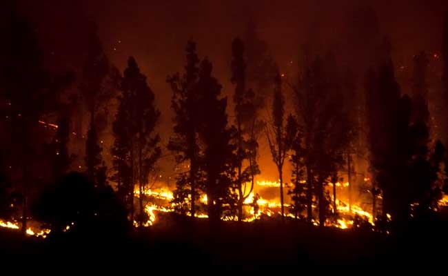 German Man Burns Soiled Toilet Paper, Sparks Forest Fire In Spain