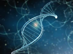 Gene Linked To Age-Related Hearing Loss Identified