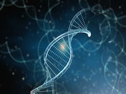 Researchers Discover Gene Linked Age-Related Problems: Study Researchers Discover Gene Linked Age-Related Problems: Study