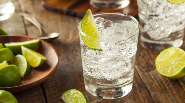 The Story of Gin: Sipping into Gin and Tonic, Martini and More