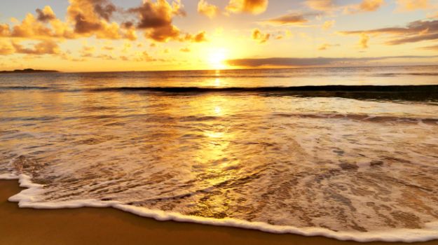 Goa to Celebrate 'Patolleanchem Fest' of Sweets on Independence Day