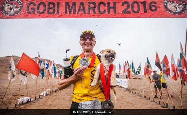 Australian Runner Finds The Dog That Followed Him On An Ultramarathon