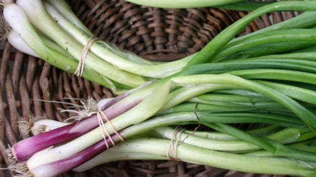 Green Garlic, Garlic Scapes, Ramps—What's the Difference?! - Forks Over  Knives