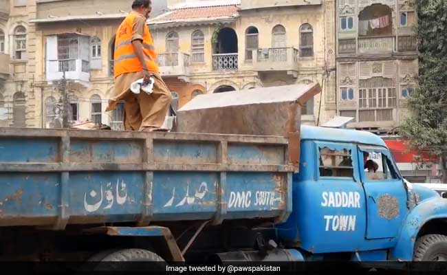 Thousand Dogs Poisoned To Death In Pakistan's Karachi