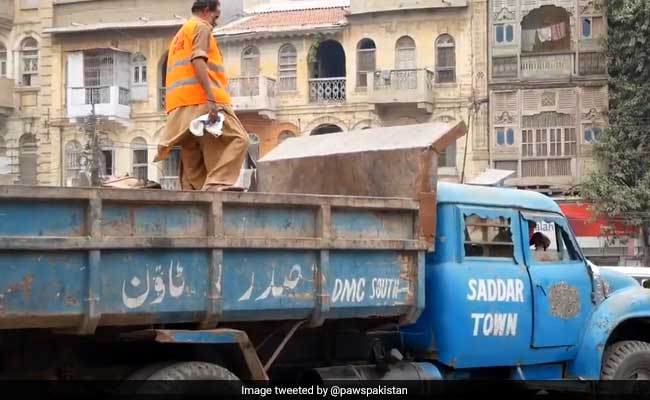 In Effort To Curb Population, Hundreds Of Stray Dogs Poisoned In Karachi